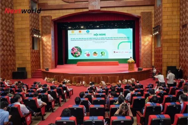 lap dat man hinh led p4 81 indoor hai duong 2 1