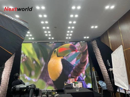 man hinh led p3 indoor ecogreen 2