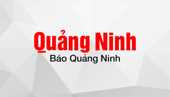 Thi công màn hình LED trọn gói theo từng công trình 15 logo bao quang ninh
