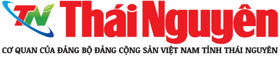 Màn hình LED hội trường 15 Báo Thái Nguyên