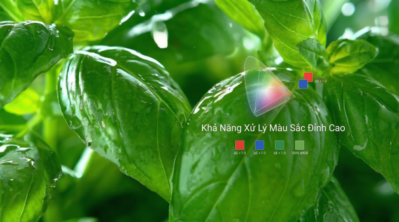 màn hình led ngoài trời đem đến màu sắc chân thực và sống động