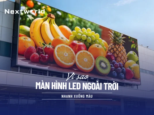 vi sao man hinh led ngoai troi nhanh xuong mau